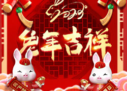 玉兔送福，開(kāi)門(mén)大吉！廣東微肽給您拜年了！