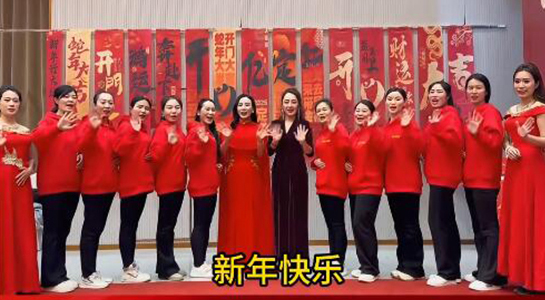 蛇年好運至，幸福滿人間！飛斯達祝您百事從歡，一路向陽！