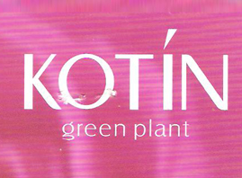 �Ϻ���������Ƽ����޹�˾