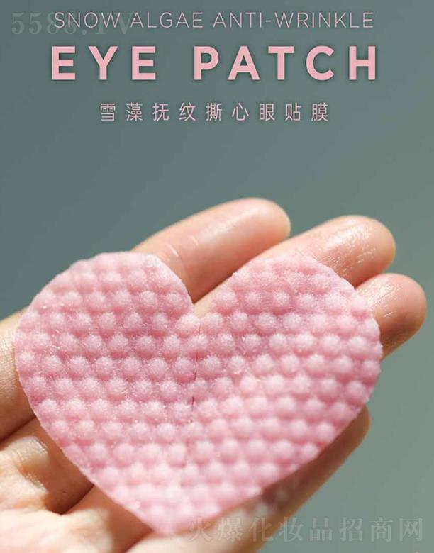 ANCORSѩ���y˺�����NĤ